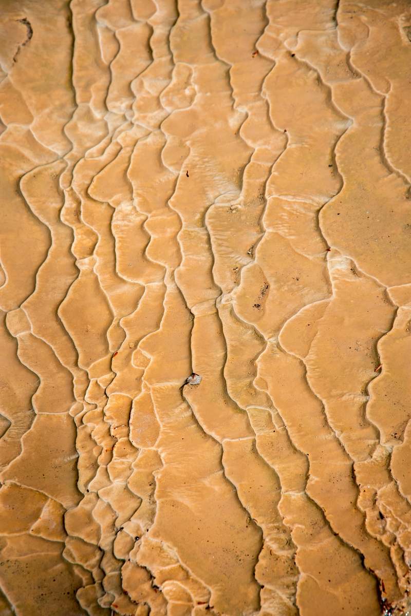 ground brown sand with water droplets soil