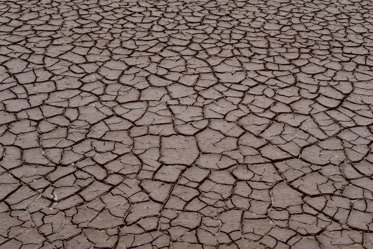 ground dried soil soil