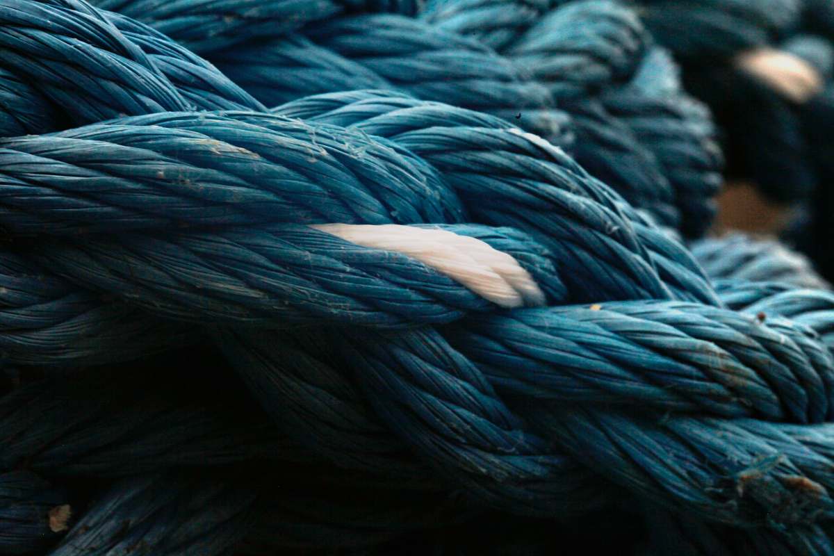 blue entangled blue and white ropes rope