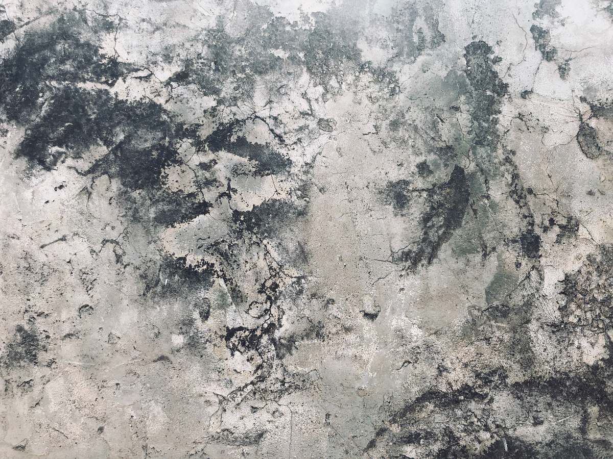 grey gray sand concrete