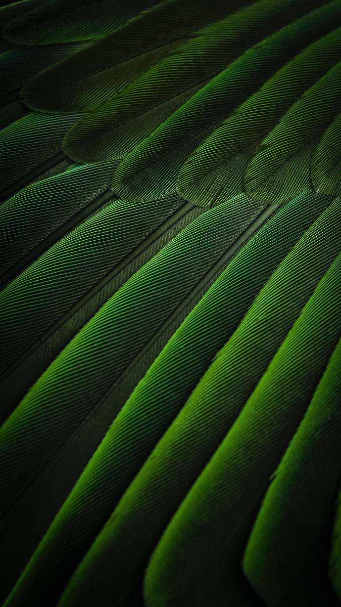 green green 3D wallpaper light