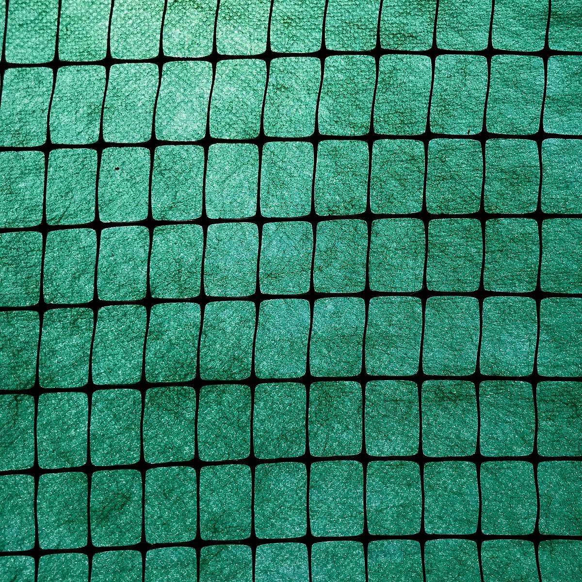 rug green metal fence during daytime wall