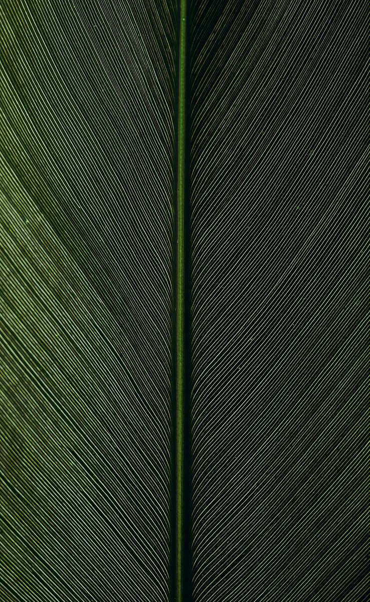 nature green metal rod on black and white pinstripe textile green