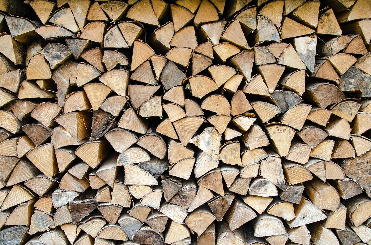 wood pile of firewood lumber