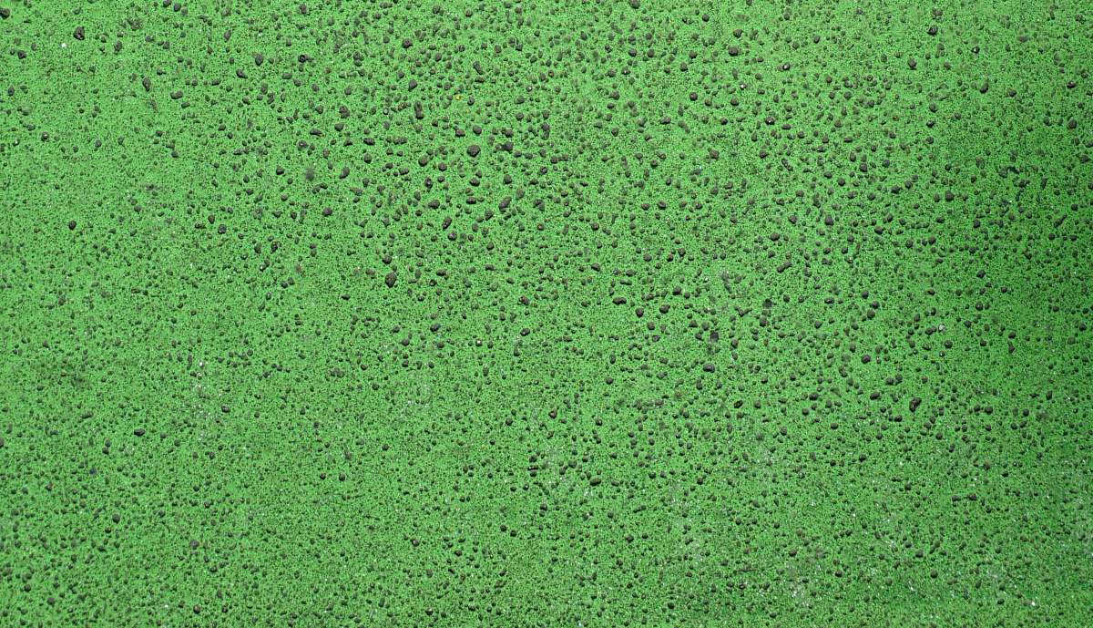green purple and black abstract painting greens