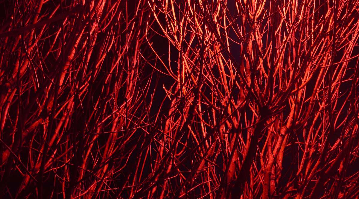 light red and white abstract painting nature