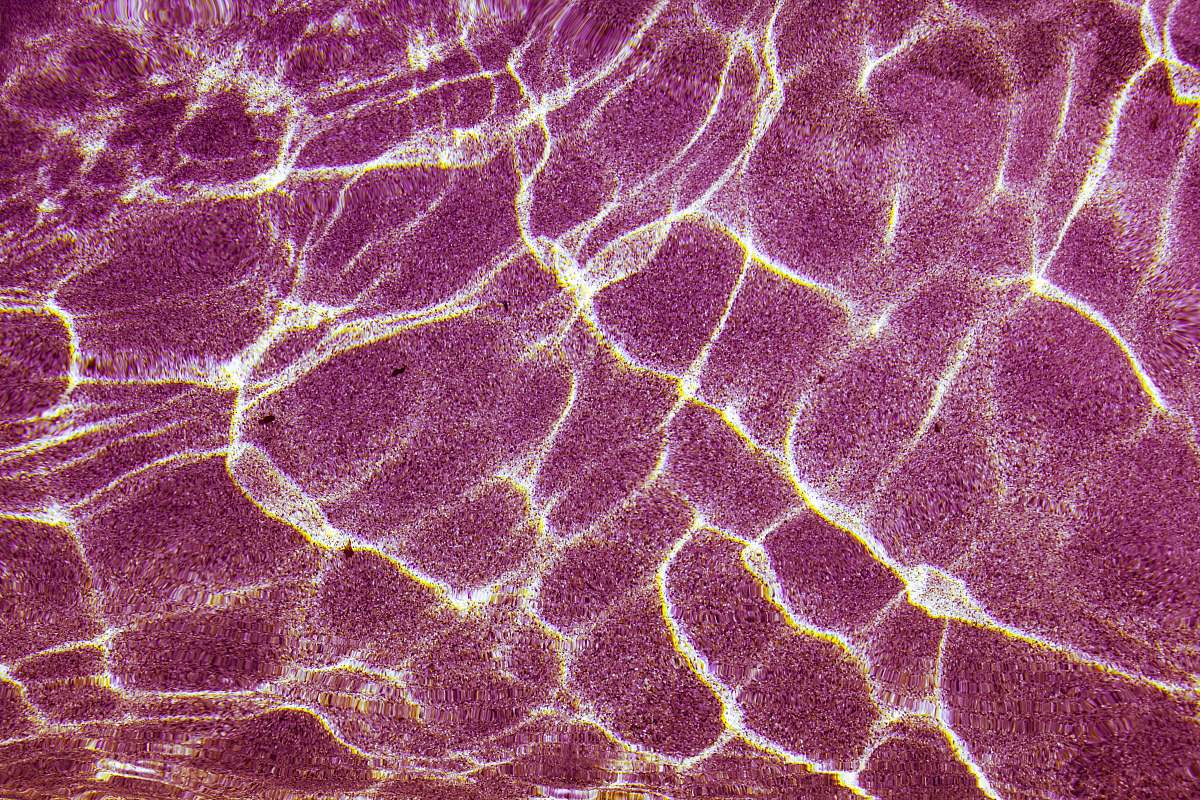 pink underwater photography of sand ocean