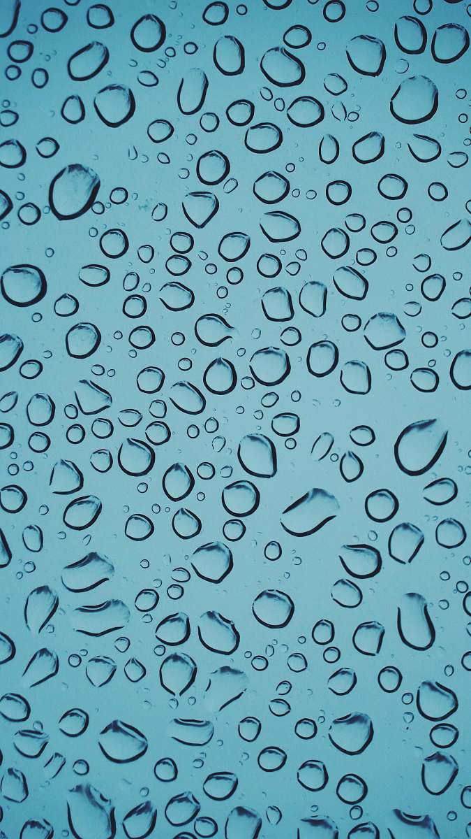 jar water droplets plant
