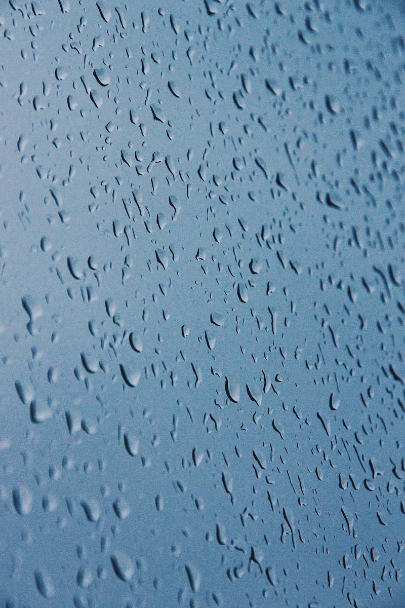 nature water drops outdoors