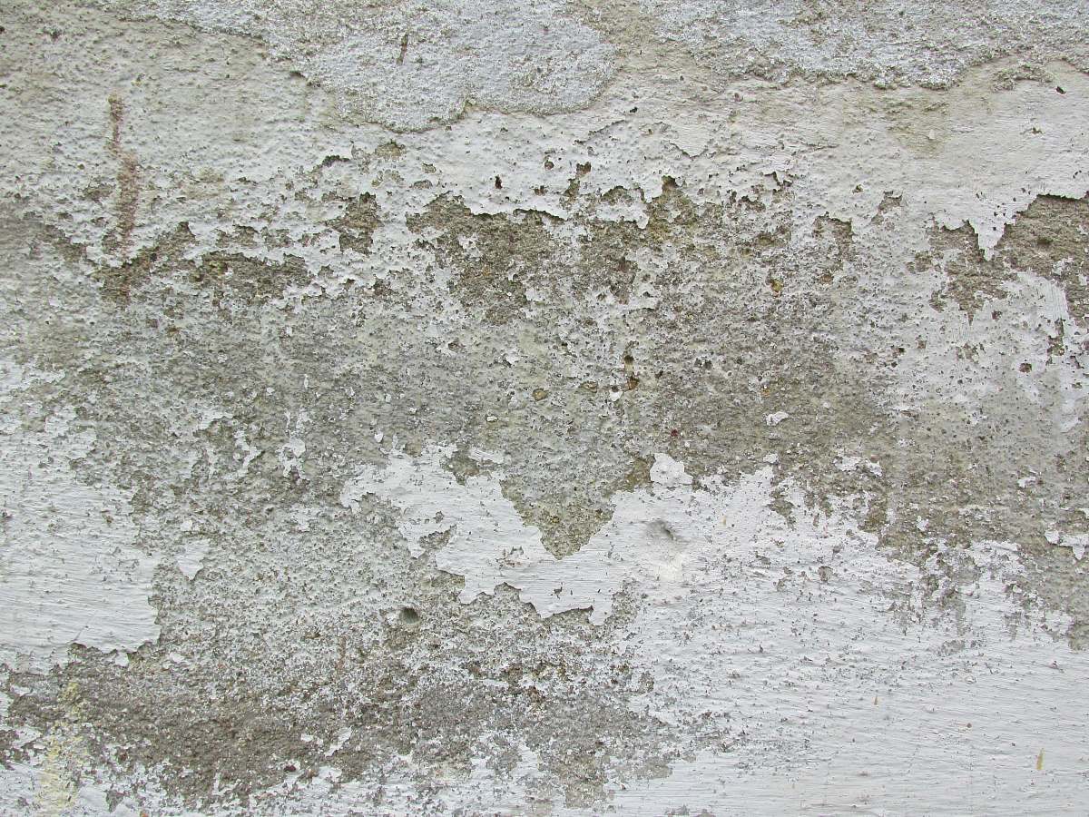 grey white and brown area rug concrete