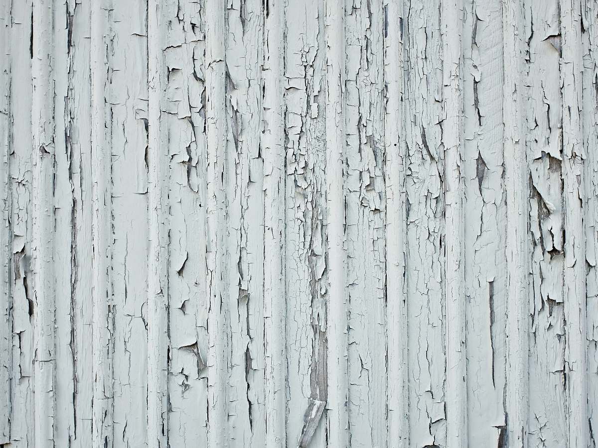 grey white wal koster