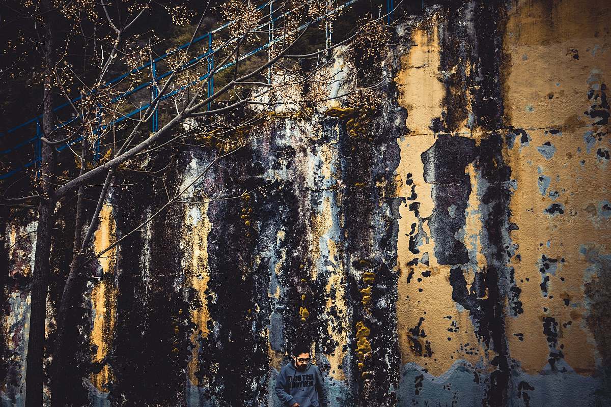 birch black and brown abstract painting flora
