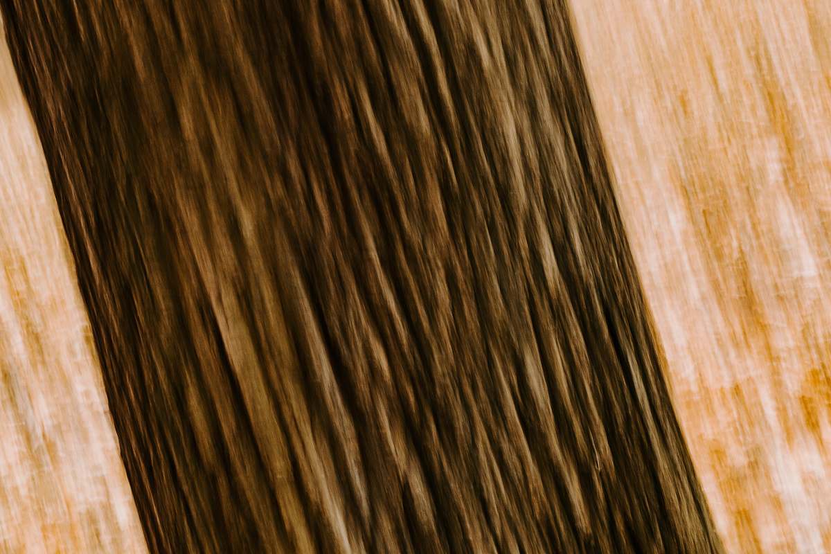 plywood  hardwood