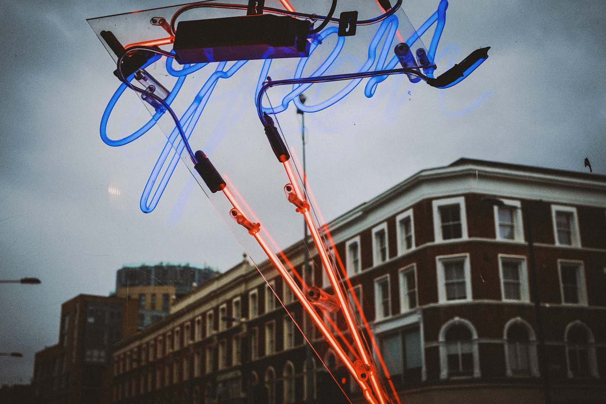 bird time lapse photography of red and blue lights strap