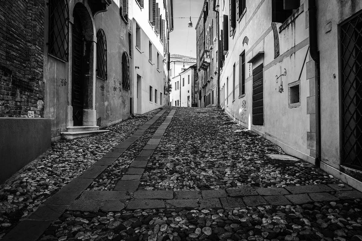 Path Cobblestone Empty Street Walkway Image Free Photo