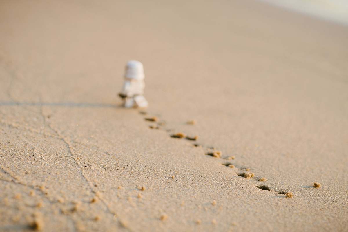 sand Stormtrooper with footprints on sand path
