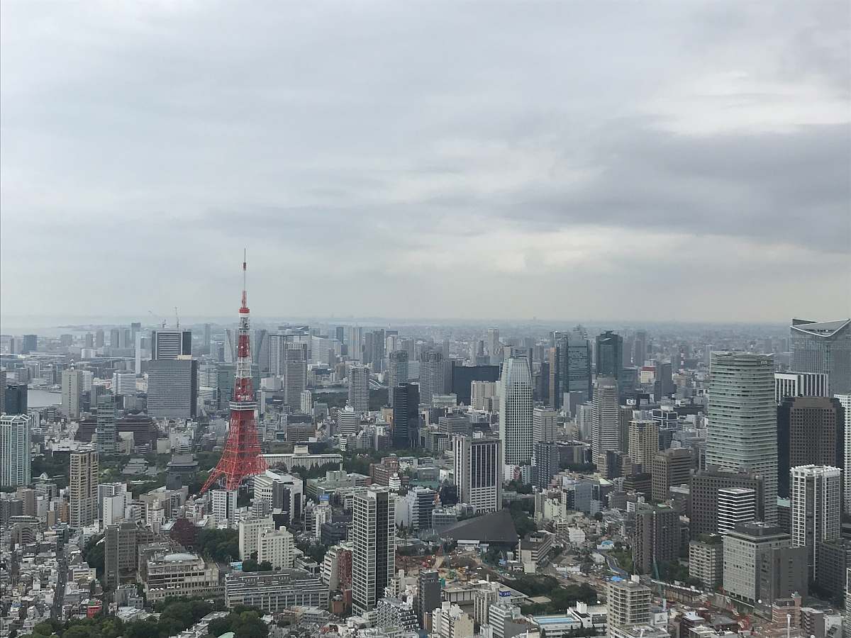 city aerial photo of city buildings grey