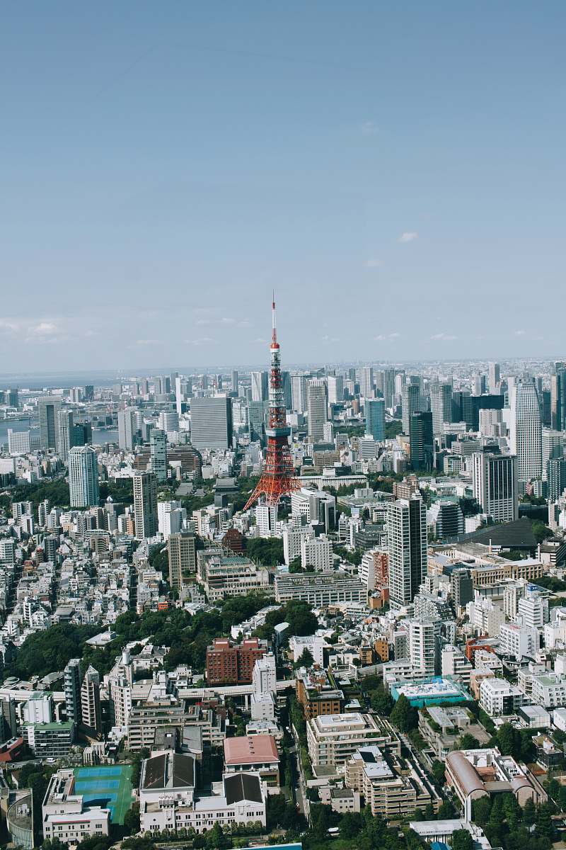 town aerial view of city duing daytime city