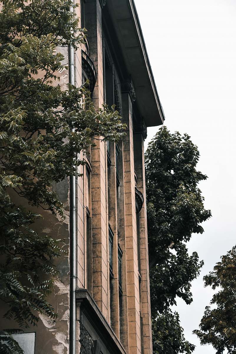 plant architectural photography of brown and white house architecture