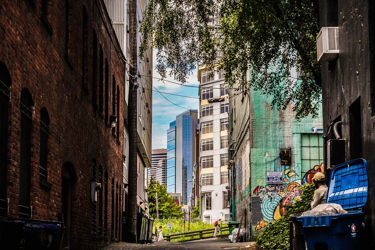 city concrete buildings near green tree painting alley