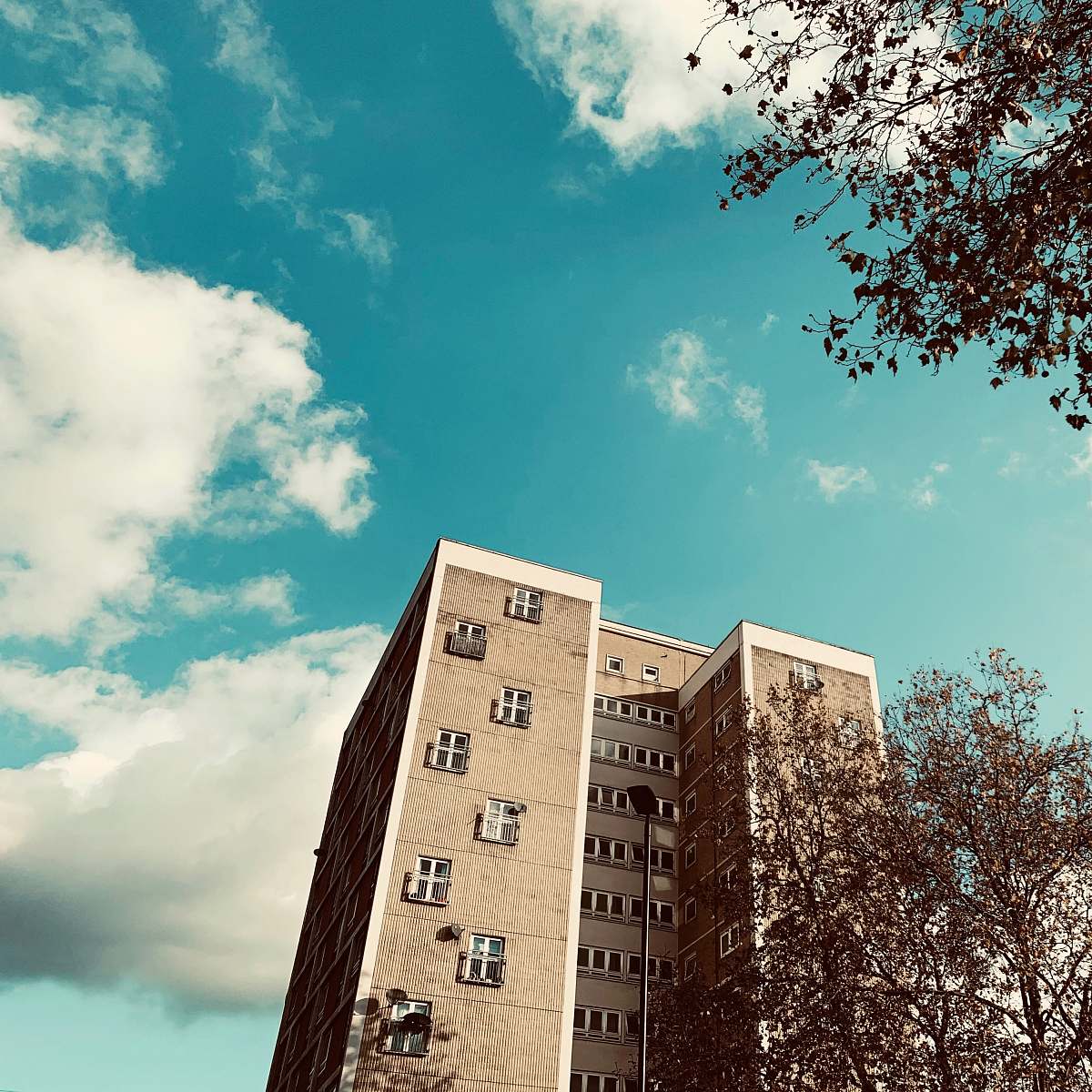 city gray building near trees during day high rise