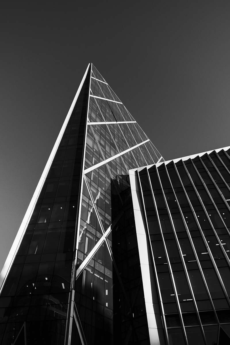 black-and-white grayscale photo of building office building