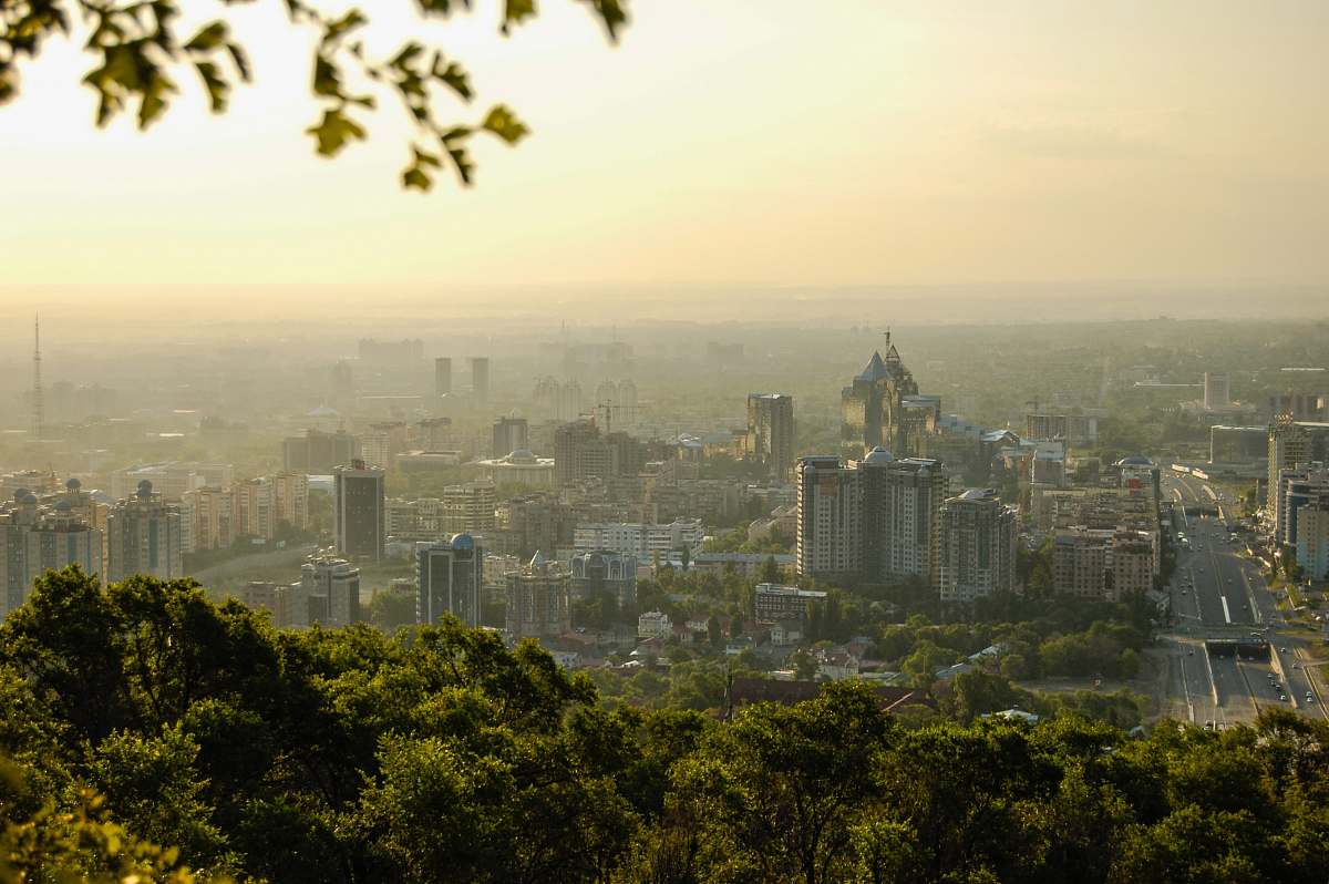city high rise buildings beside green trees during daytime nature