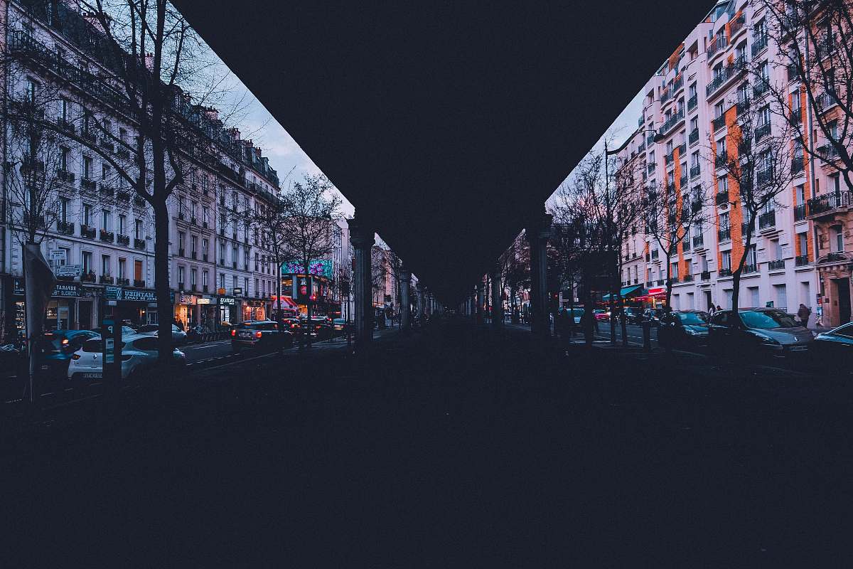 city road between bare trees road