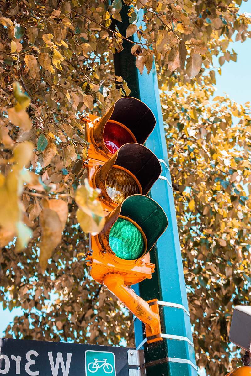 light traffic lights beside trees traffic light