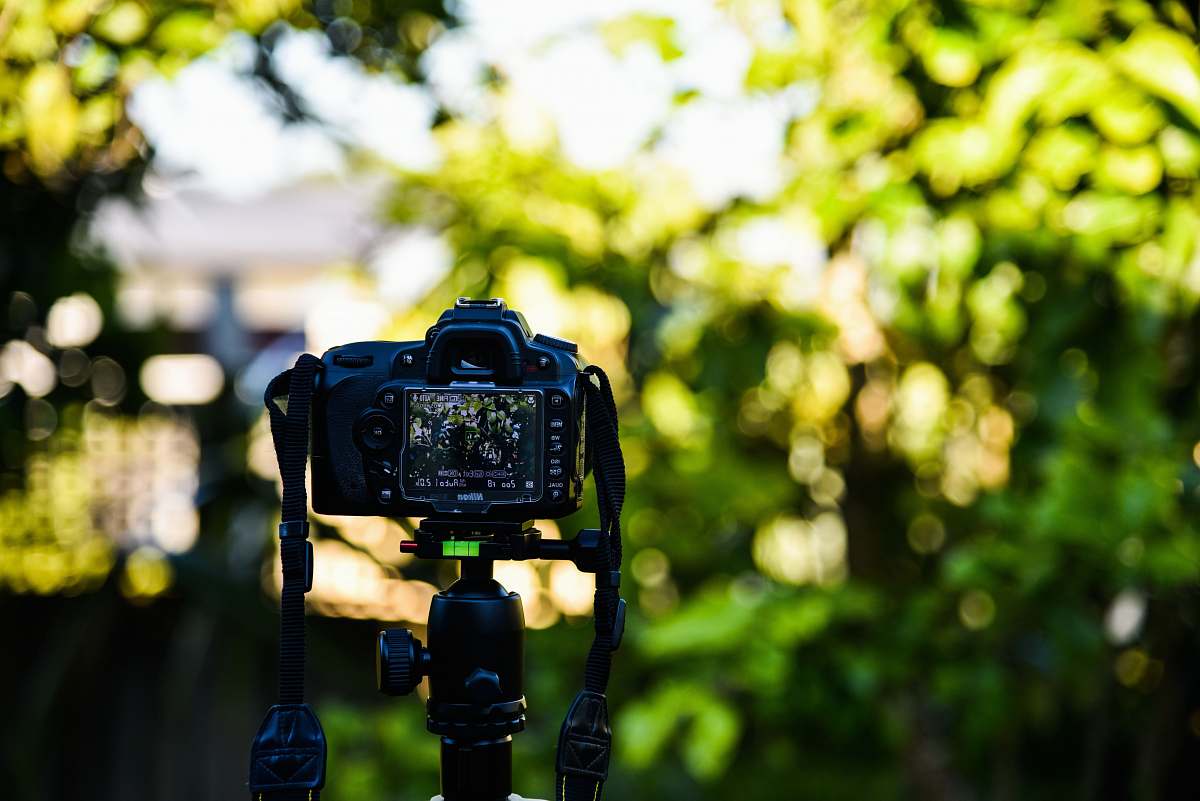 camera black DSLR camera tripod