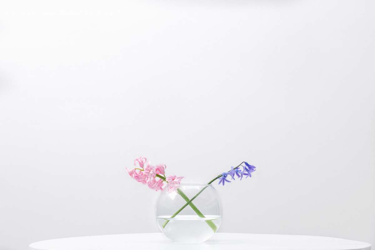 vase two purple and pink petaled flowers in clear glass bowl art