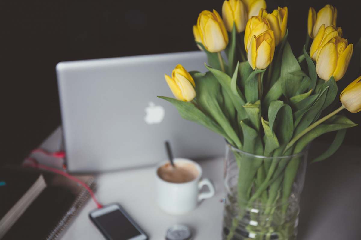 tulips yellow tulips in glass vase flower