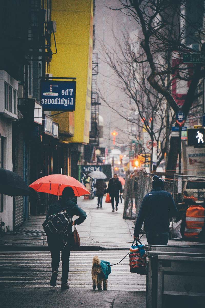 person people walking on street beside high rise buildings pedestrian