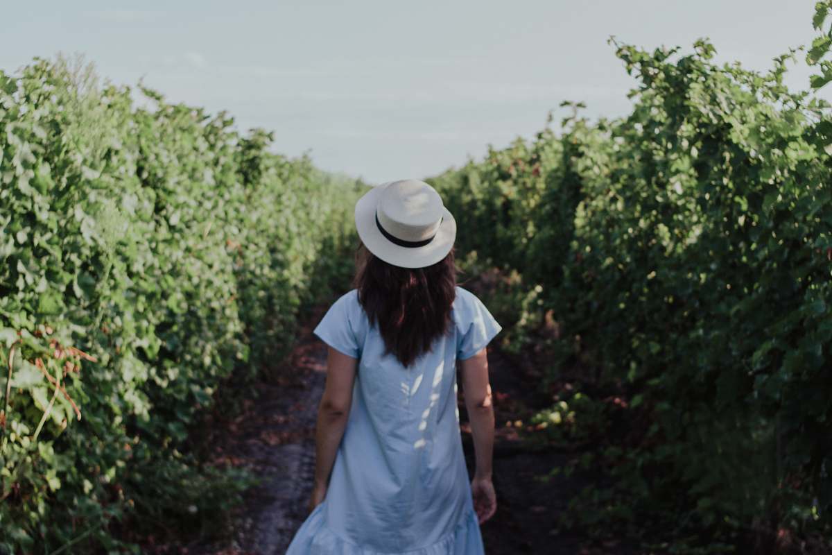 person woman in blue short-sleeved dress and white hat standing between green leafed plants during daytime people