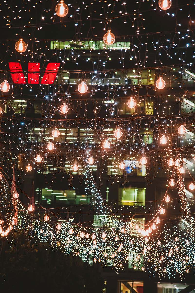 outdoors lighted string lights nature