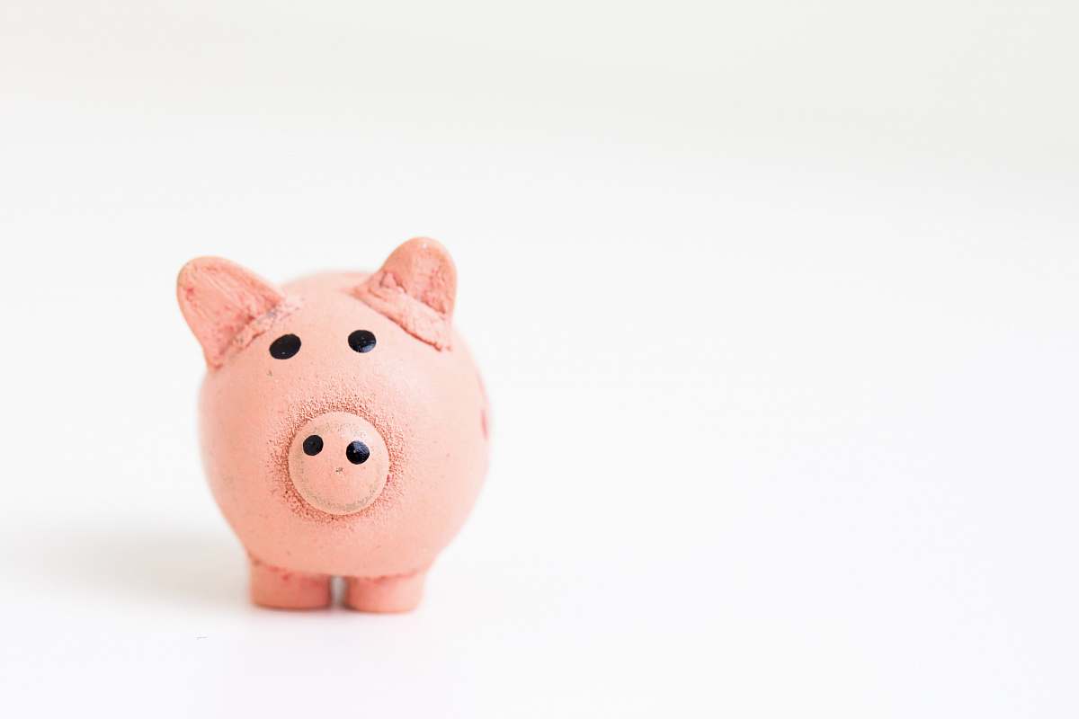 pig pink pig figurine on white surface piggy