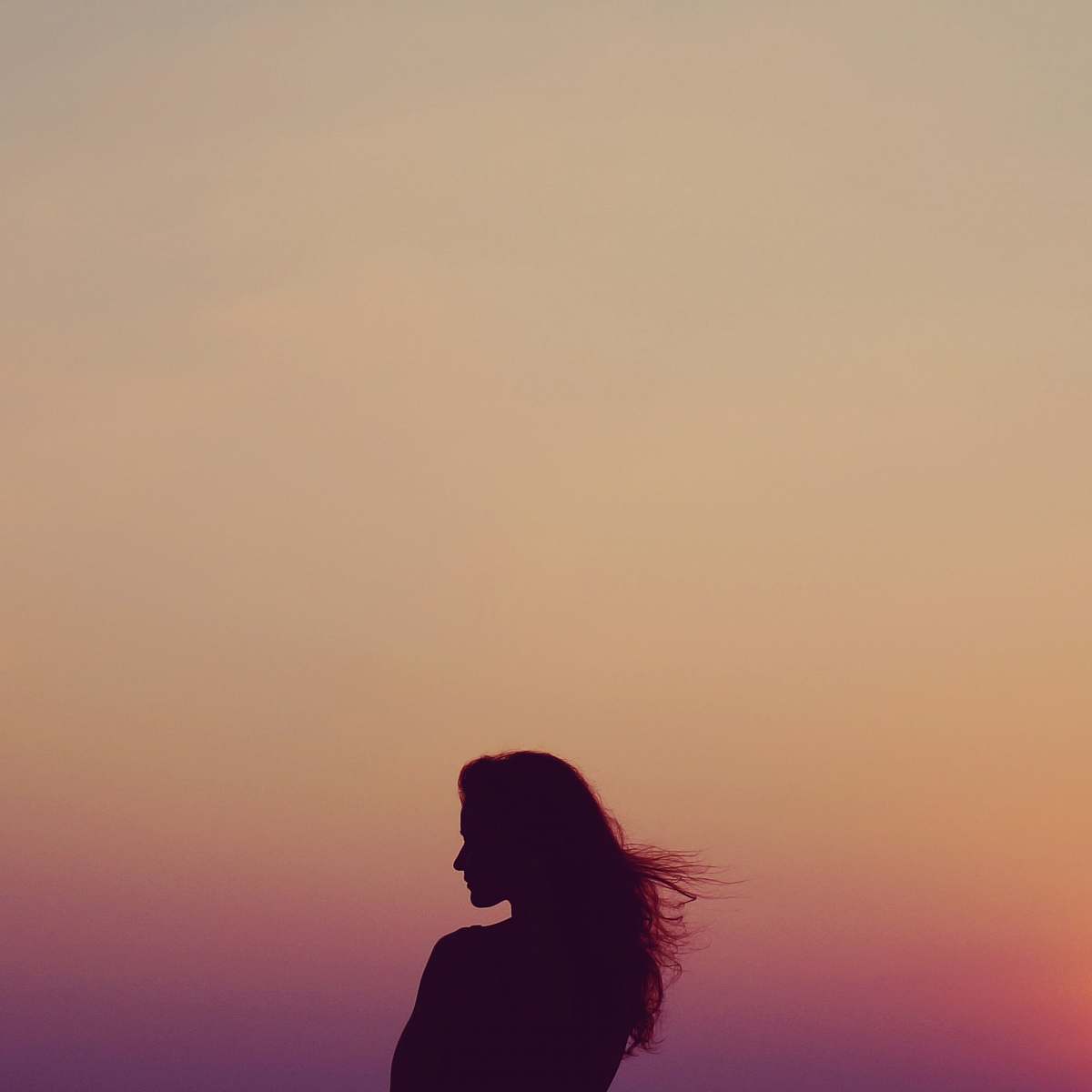 Silhouette Silhouette Of Woman Under Orange Sky Woman Image Free Photo