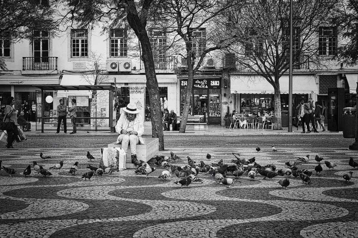 black-and-white person sitting near tree on part watching bird in grayscale photo people