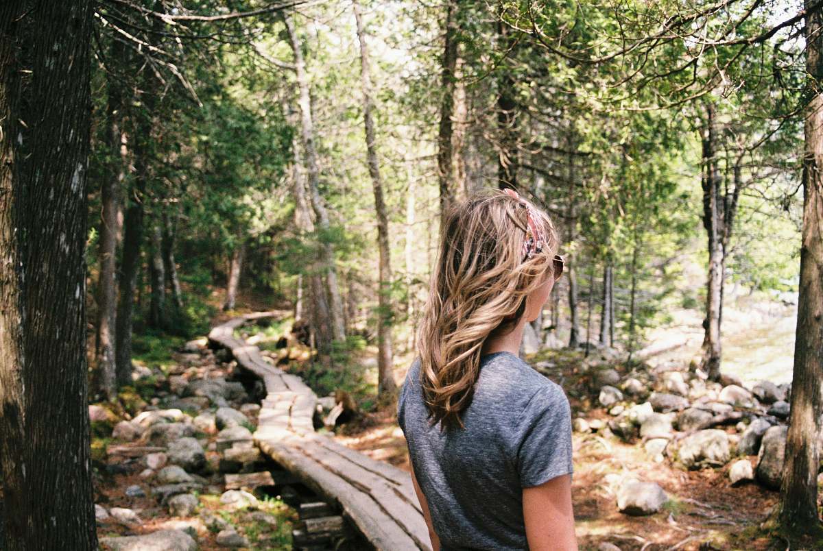human person wearing gray shirt standing while facing forest people