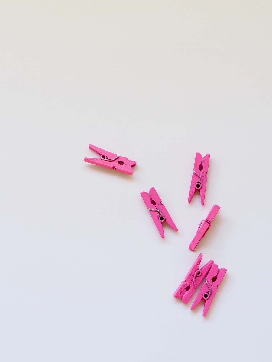minimal six pink clothes clips peg