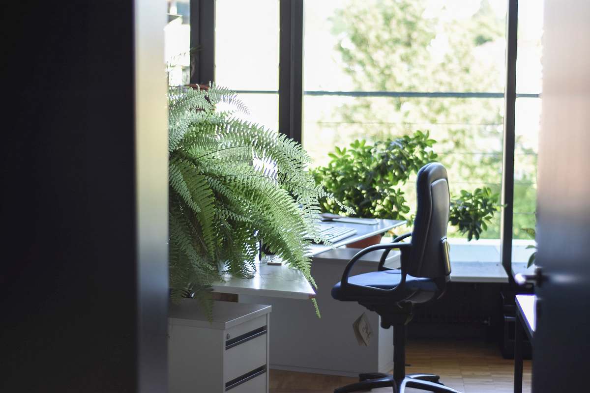 chair black leather rolling armchair near white wooden desk flora