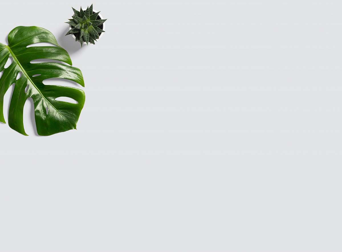 leaf green leaf green