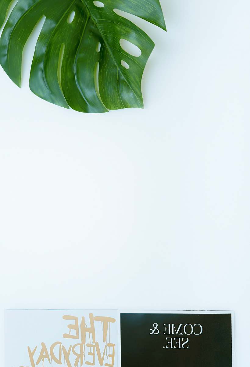 green green leaf plant leaf