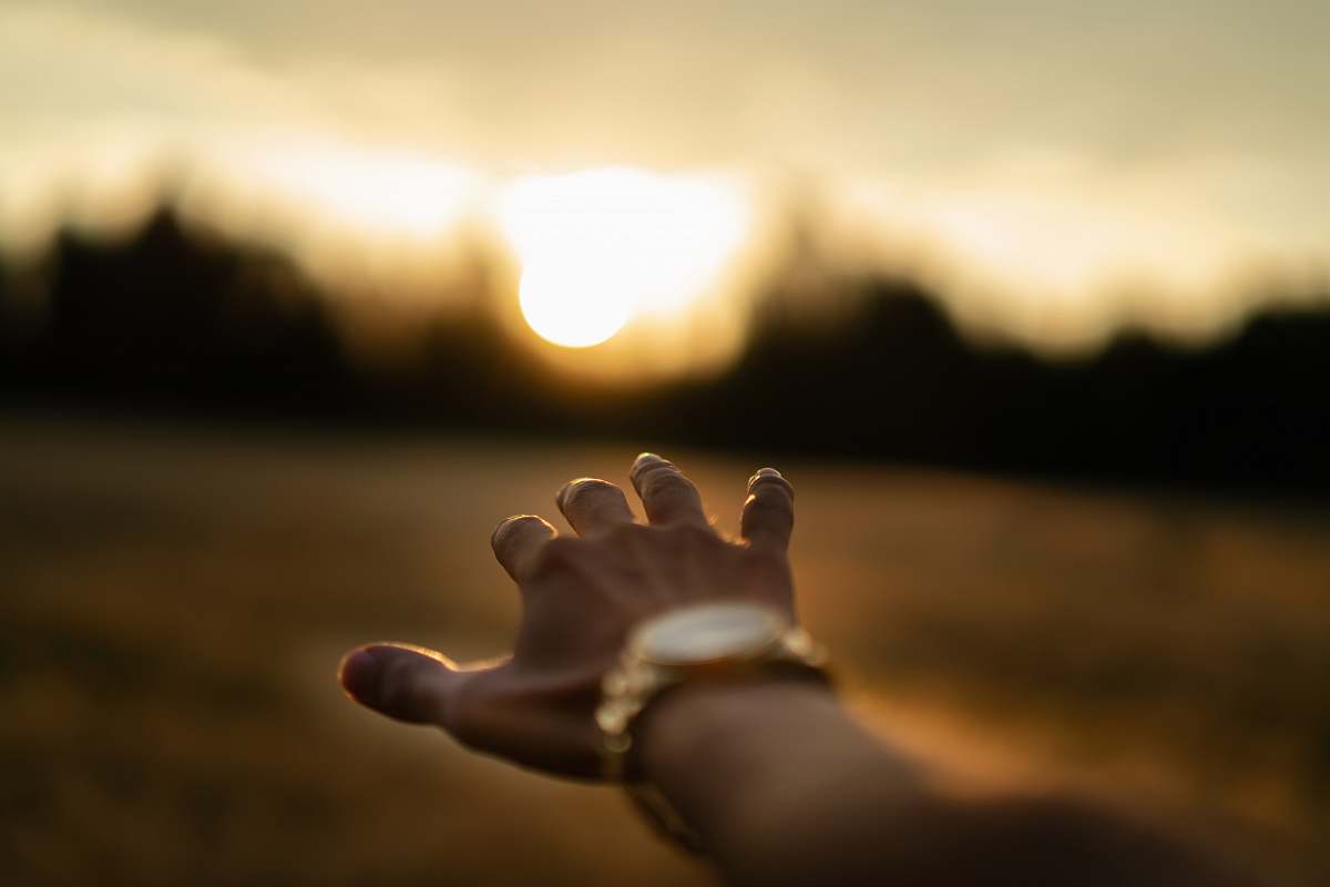 oskarshamn shallow focus photography of person's left hand hand