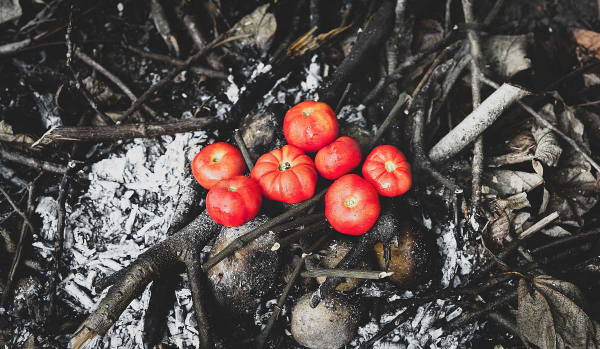 food orange tomato fruits fruit