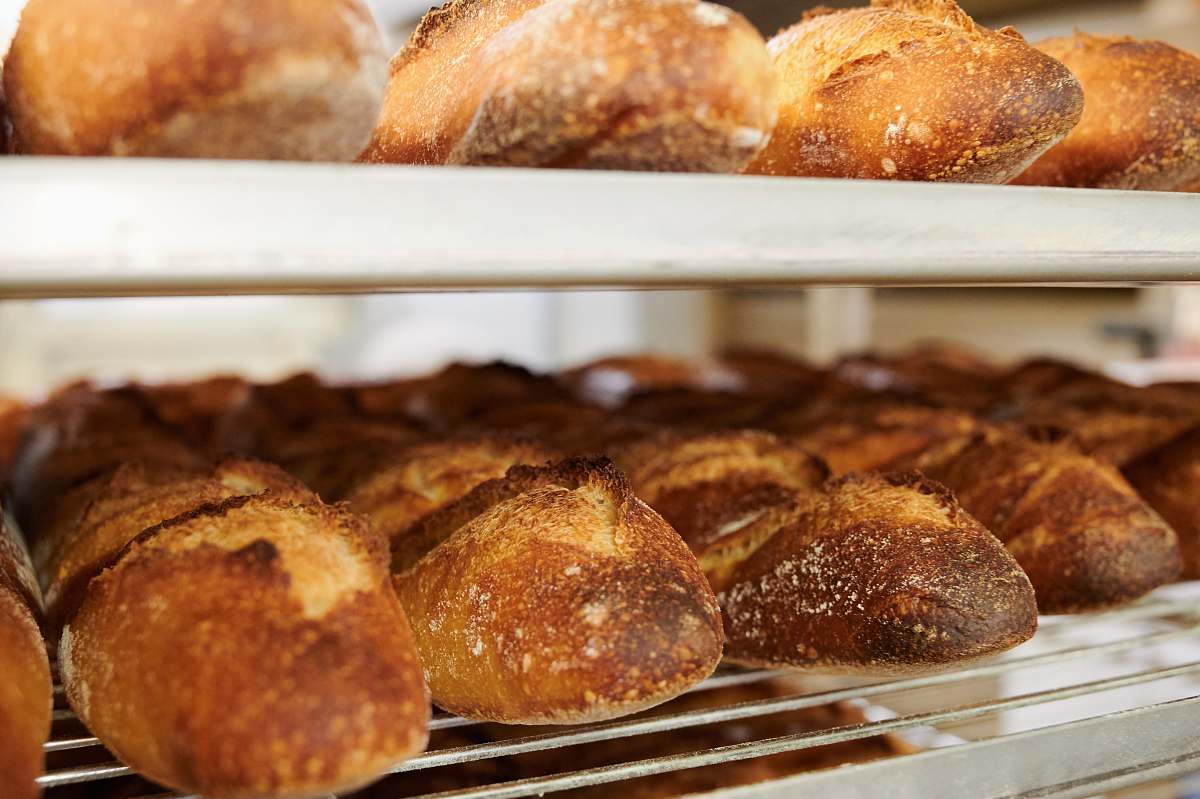 food baked breads bun
