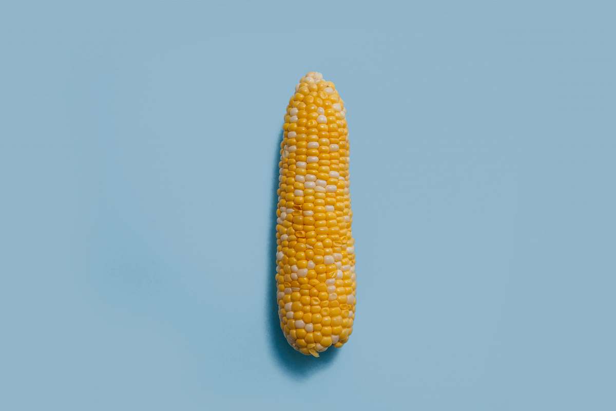 food corn on teal surface vegetable