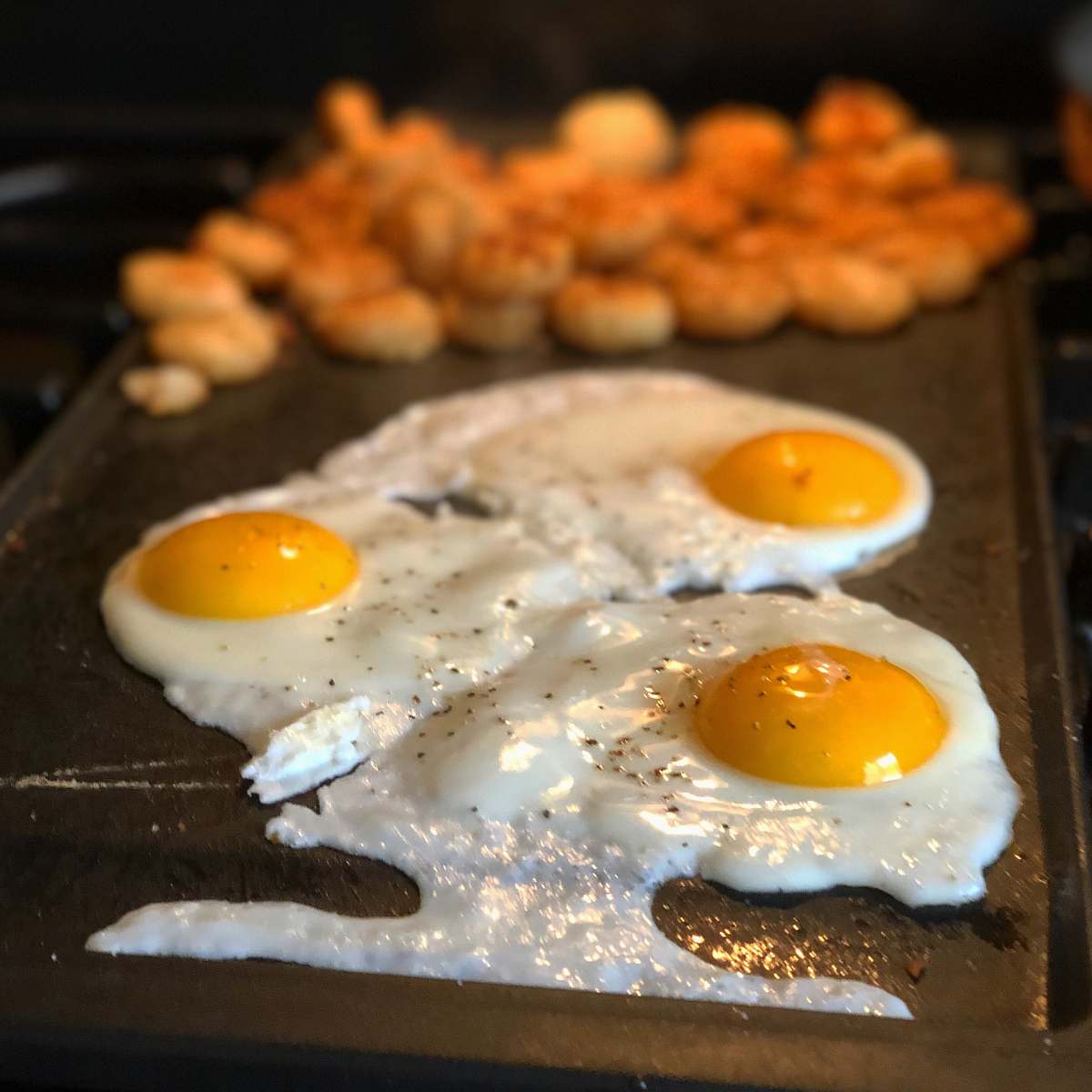 food eggs on griddle 256 mountain view ave
