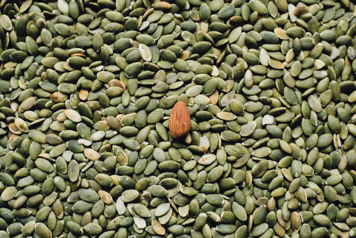 bean almond seed on top of green seeds flora