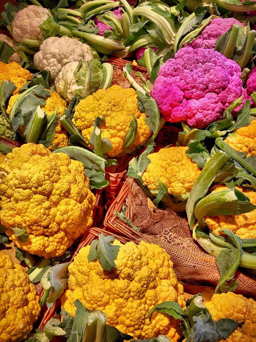 plant assorted-color cauliflowers vegetable